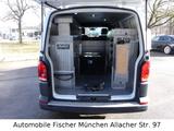 Volkswagen T6.1 Transporter Kasten L2 4M Diff.Sperre ALUCA - Pkw-Anhänger Alu