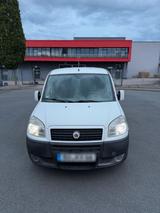 Fiat Doblo Cargo 1.3 DCI 114.223 km|TÜV ne... - Fiat Doblo: 223