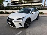 Lexus NX 350h - weiße Lexus NX-Serie
