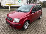Fiat Panda 1.2 8V Dynamic - Fiat Gebrauchtwagen von 2005
