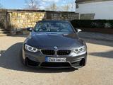 BMW M4 Cabrio M4 Carbon Shadow - graue BMW M4