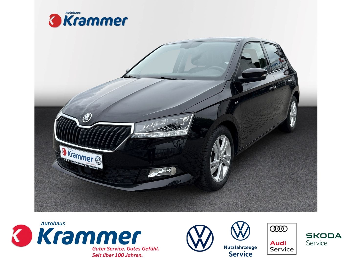 Fabia 1.0 TSI Ambition *Kamera*PANO*