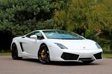 Lamborghini Gallardo LP560-2 50° Anniversario 50° Annive... - Lamborghini Gebrauchtwagen von 2014