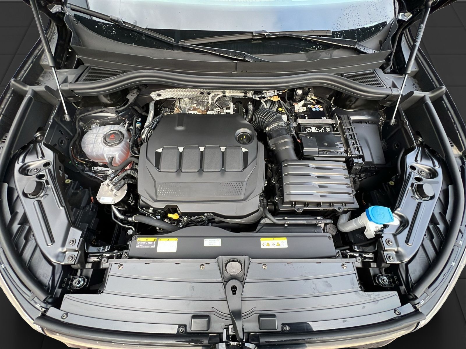 Tiguan Goal 2.0 TDI DSG AHK*Pano*ACC