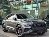 Audi Q8 55 TFSI S-Line B&O ACC Pano Ambiente 360 22" - Audi Q8 in Kassel