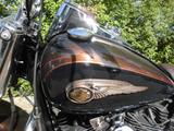 Harley-Davidson Heritage Softtail Anniversary110th - Offers