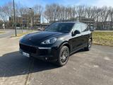 Porsche Cayenne 3.0 Diesel Platinum Edition  - Porsche Cayenne in Mönchengladbach