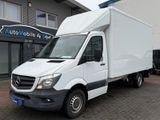 Mercedes-Benz Sprinter Koffer *2. Hand *Automatik *Kamera - : Van, Koffer