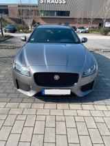Jaguar JAGUAR XF Sportbrake Allrad, Chequered Flag - Jaguar XF: Chequered Flag