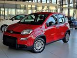 Fiat Panda Pandina Mild Hybrid 1.0 RED Klima PDC - Fiat Panda: Red