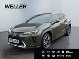 Lexus UX 250h Style Edition *Bi-LED*ACC*CAM*SHZ*CarPla