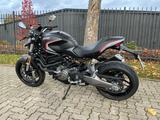 Ducati Monster 821 stealth  - DUCATI MONSTER 821