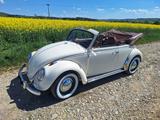 Volkswagen Original Käfer Cabrio von Karmann - aus 1967: Cabrio