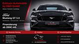 Ford Mustang 5.0 V8 GT~UNFALLFREI+DEUTSCH+NUR 12Tkm~1 - Ford Mustang in Mainz
