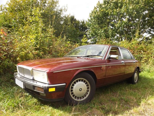 Jaguar Daimler Six XJ40 "the best of all"