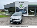 Skoda Citigo Active 1,0 MPI 44KW - Skoda Citigo mit Benzin-Antrieb: Silber, Kleinwagen, 1.0