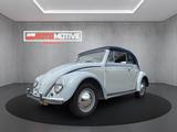 Volkswagen Käfer Ovali Kabrio Bj. 1953 - Volkswagen Käfer: Ovali