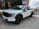Ford F 150 - Ford F 150 mit Benzin-Antrieb