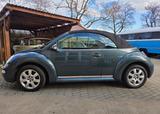Volkswagen New Beetle - Volkswagen Beetle in Dresden