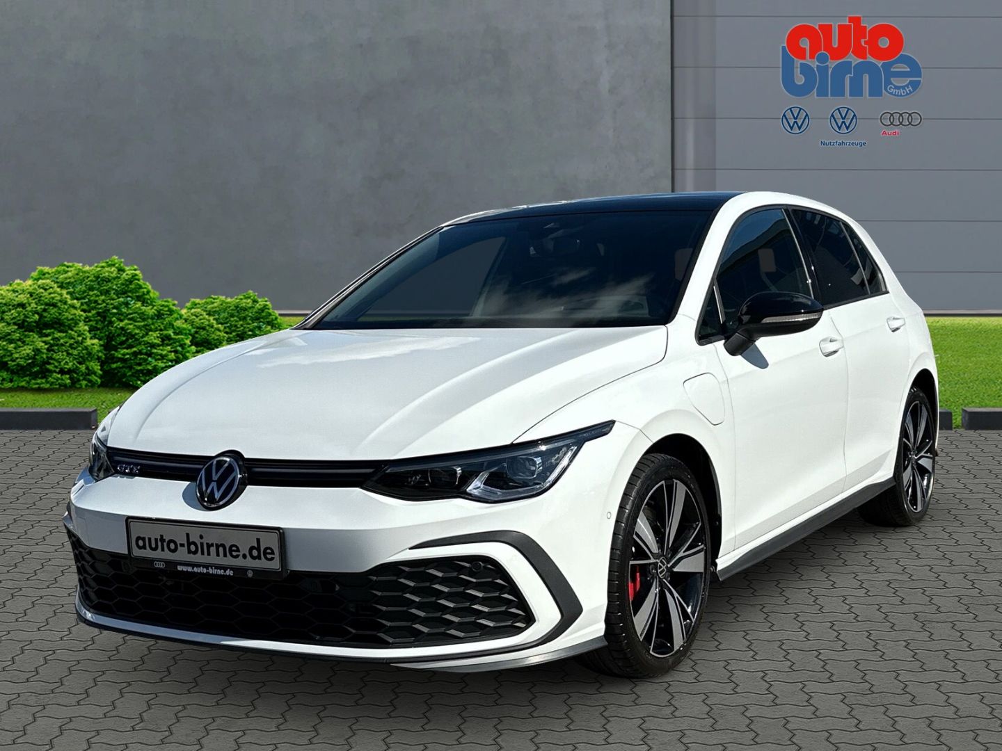 Golf VIII GTE eHybrid HUD StandHZG AHK Panodach