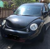Volkswagen New Beetle 1.8T Standard - Volkswagen New Beetle aus 2000