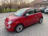 Fiat 500 1.2 Lounge 69cv OK NEOPATENTATO - Fiat 500: Braun