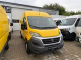 Fiat Ducato Kastenwagen L2-H2 3-SITZE*KAMERA* - Fiat Ducato: Kastenwagen