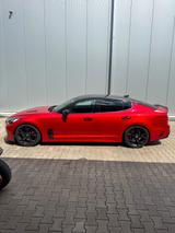 Kia Stinger 3.3 GT  AWD *CarVertical*  - Kia Stinger mit Panoramadach
