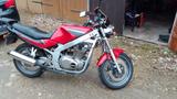 Suzuki GS500E - SUZUKI GS 500