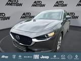 Mazda CX-30 2.0 SKYACTIV-X M Hybrid Selection 2WD - Mazda CX-30 in Bielefeld