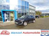 Ford Kuga 2.0 EcoBlue Hybrid Titanium X AHK ACC HuD - Ford Kuga Titanium mit Hybrid-Antrieb (Diesel-Elektro)