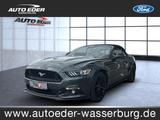 Ford Mustang GT 5.0 Convertible Automatik Xenon Leder - Ford Mustang Benzin Gebrauchtwagen