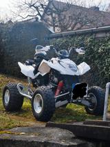 Arctic Cat DVX300 - QUAD 300