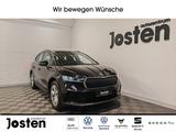 Skoda Enyaq Loft 50 LED DAB CarPlay KAM Navi Lane - Skoda Enyaq in Köln