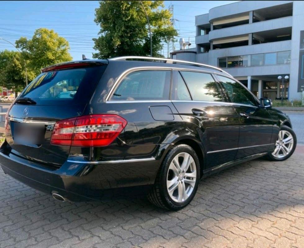 Mercedes-Benz E300 2010 — rear view