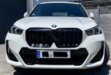 BMW X1 sDrive20i M Sportpaket DAB Parkassistent 