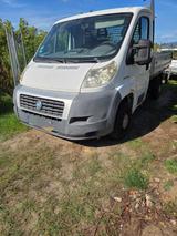 Fiat Ducato 250 Pritsche - gebrauchte Fiat Ducato aus dem Jahr 2006