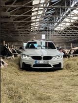 BMW M3 LCI | 431 HP | HUD | Surround View | HK - BMW M3: Weiß