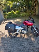 Suzuki XF 650 Freewind  - SUZUKI XF 650 FREEWIND