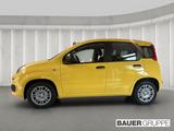 Fiat Panda Base 1.0 Mild Hybrid EU6e DAB Spurhalteass - Fiat Panda Neuwagen: Eu