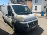 Fiat Ducato 250 L - Fiat Ducato: 250l