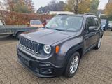 Jeep Renegade Longitude FWD - Jeep Gebrauchtwagen in Bielefeld