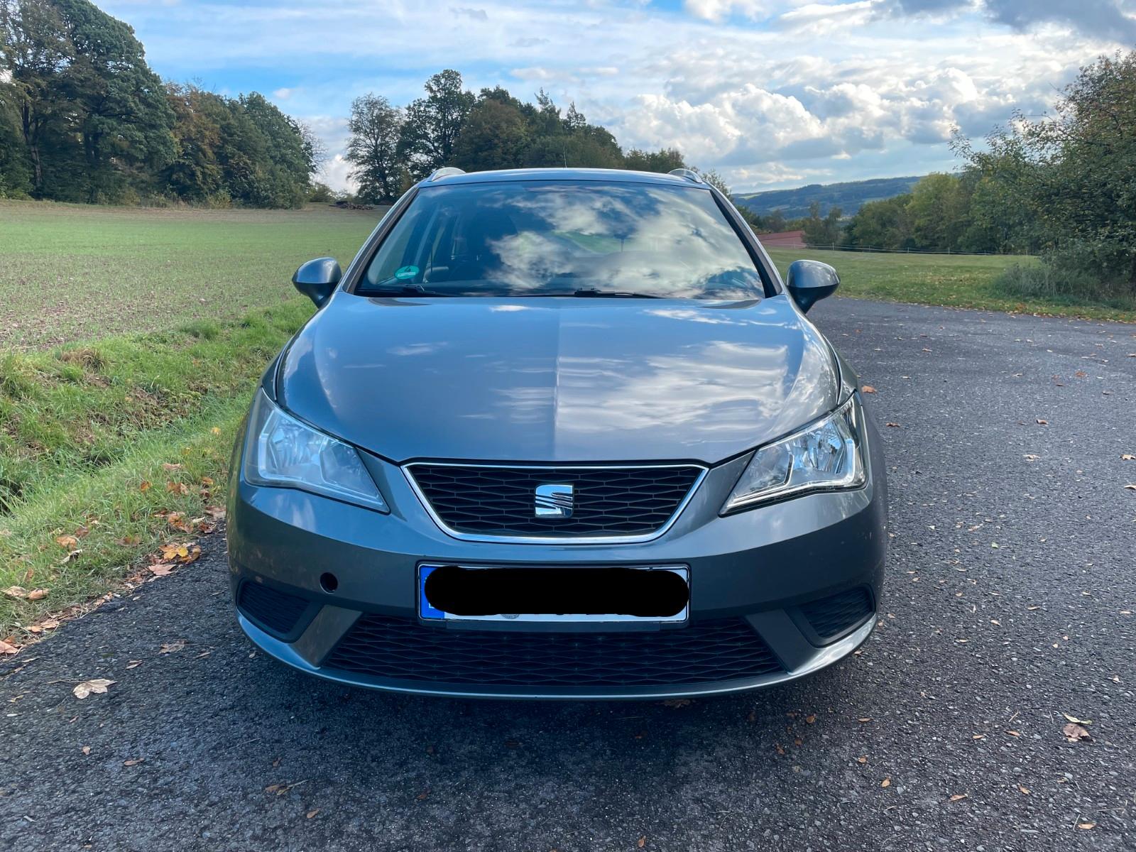 Seat Ibiza 2013 — rear view