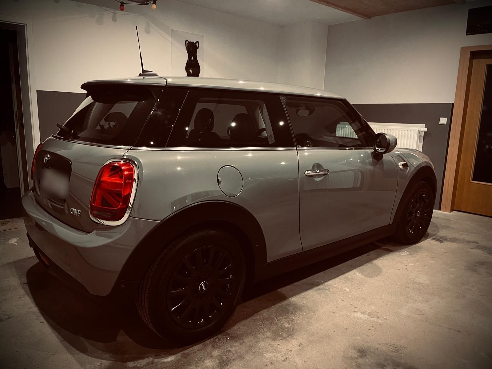 MINI ONE