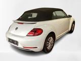 Volkswagen Beetle Cabriolet 1.2 Sound NAVI REARVIEW PDC SIT - gebrauchte VW Beetle aus dem Jahr 2017