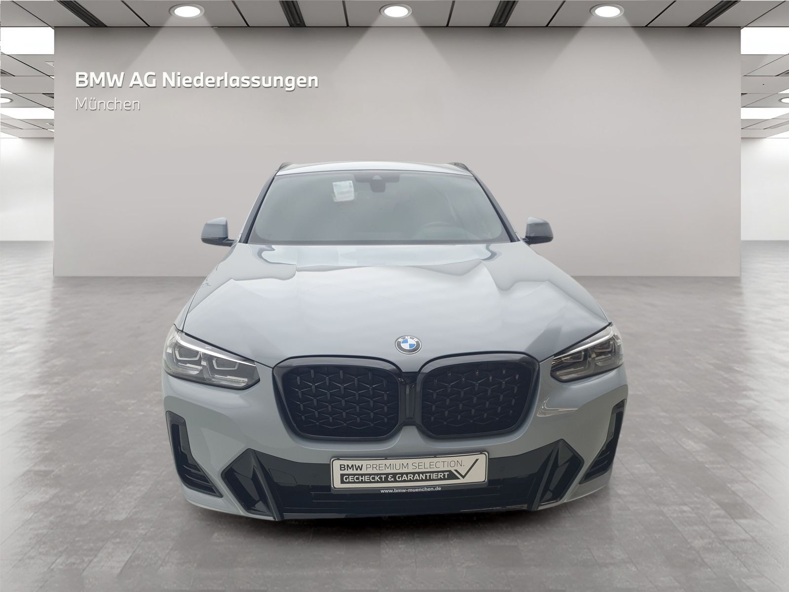 BMW X4 xDrive30d M Sport Navi Head-Up Kamera LED foto 3