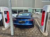Tesla Model 3 Long Range AWD | Enhanced AP | Blau/Weiß - Tesla Model 3 in Hamburg