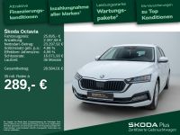 Skoda Octavia - Vorschau Bild 2