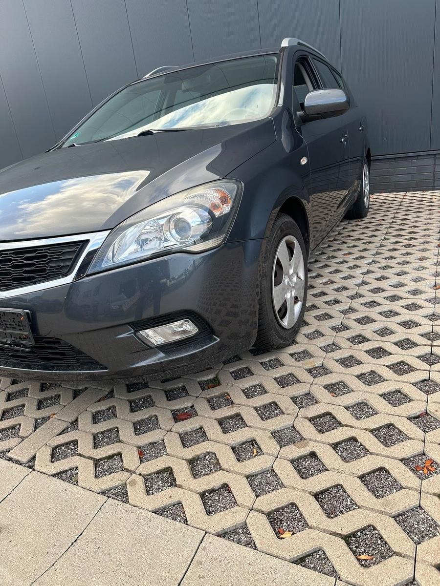 Kia cee'd 2010 — вигляд ззаду