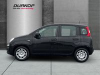 Fiat Panda - Vorschau Bild 2